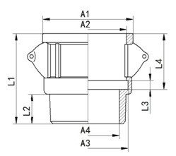 type b cg gr