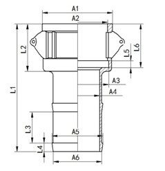 type c cg gr